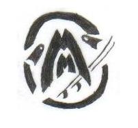 teammenomenlogo.jpg